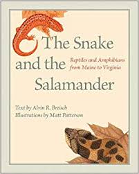 Snake and Salamander